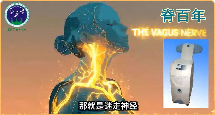 乳腺结节增生电场治疗仪